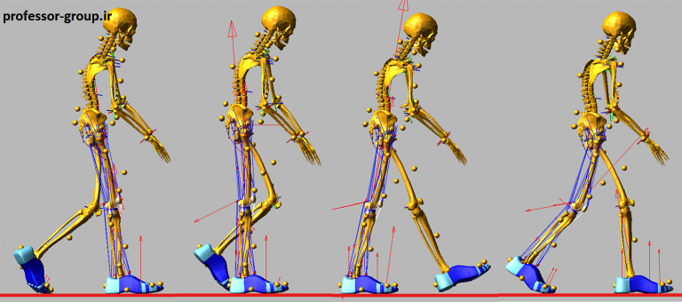 Read more about the article انجام پروژه تحلیل حرکت انسان gait analysis