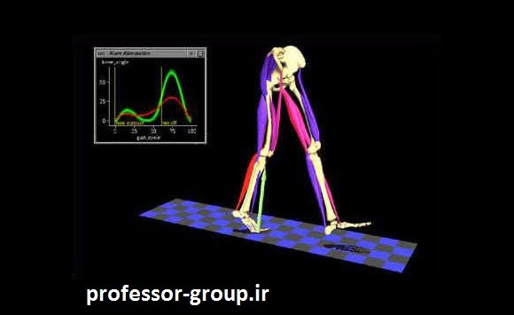 Read more about the article انجام پروژه gait analysis با visual-3d و QTM