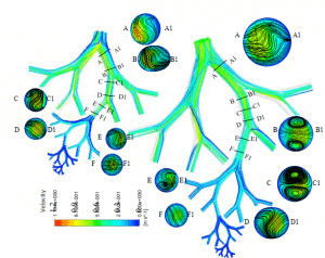 Read more about the article تحلیل CFD ریزگرد روی ریه انسان