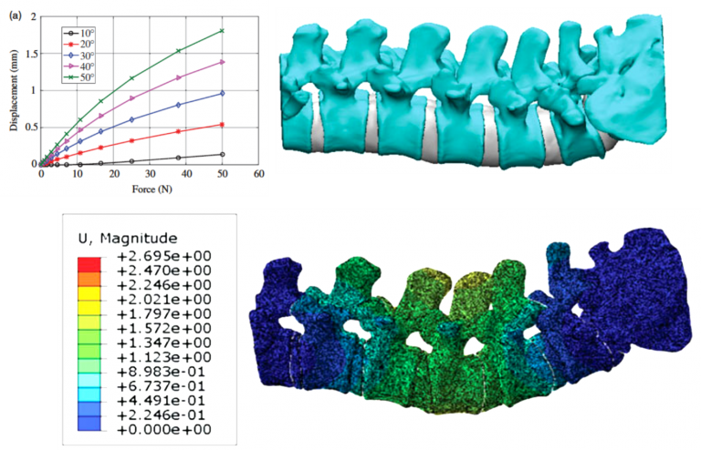 Read more about the article  تحلیل المان‏ محدود ستون فقرات در عملکرد ربات جراحی
