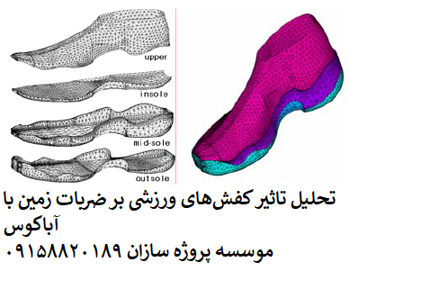 Read more about the article تحلیل تاثیر کفش‏های ورزشی بر ضربات زمین با آباکوس