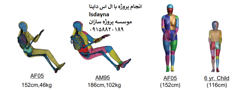 Read more about the article توسعه اجزای محدود مدلهای انسانی پیشرفته در THUMS با Lsdyna