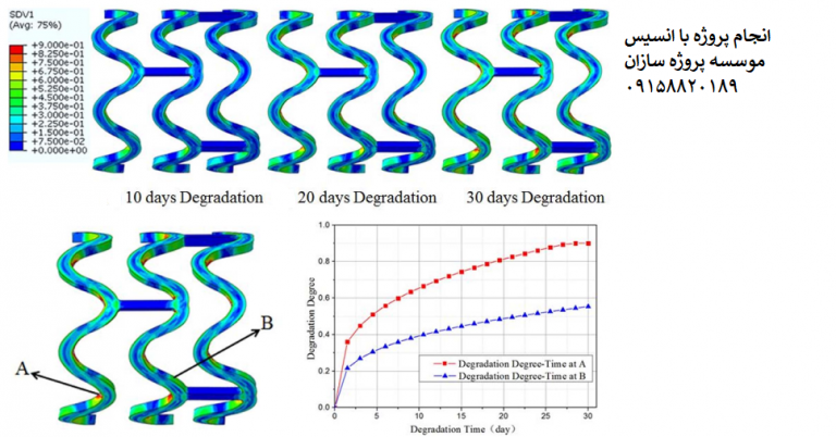 Read more about the article شبیه سازی FSI آسیب استنت قابل جذب قلبی عروقی Ansys