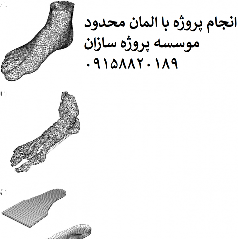 Read more about the article مدلسازی fem پا و مچ پای انسان برای طراحی کفی