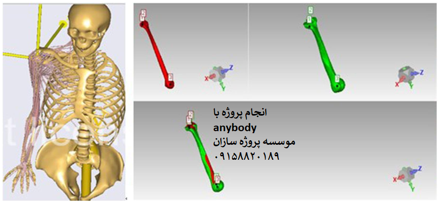 Read more about the article تحلیل دینامیکی فلکشن اکستنشن حرکت مفصل آرنج اسکلتی عضلانی Anybody